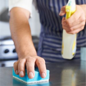 De keuken een broeinest van bacteriën? Niet met de Handscrubby Flex!