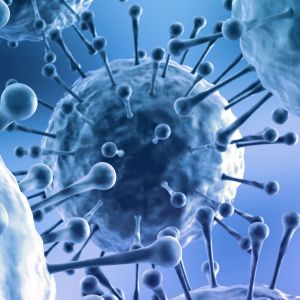 Het norovirus voorkomen – droom of werkelijkheid?